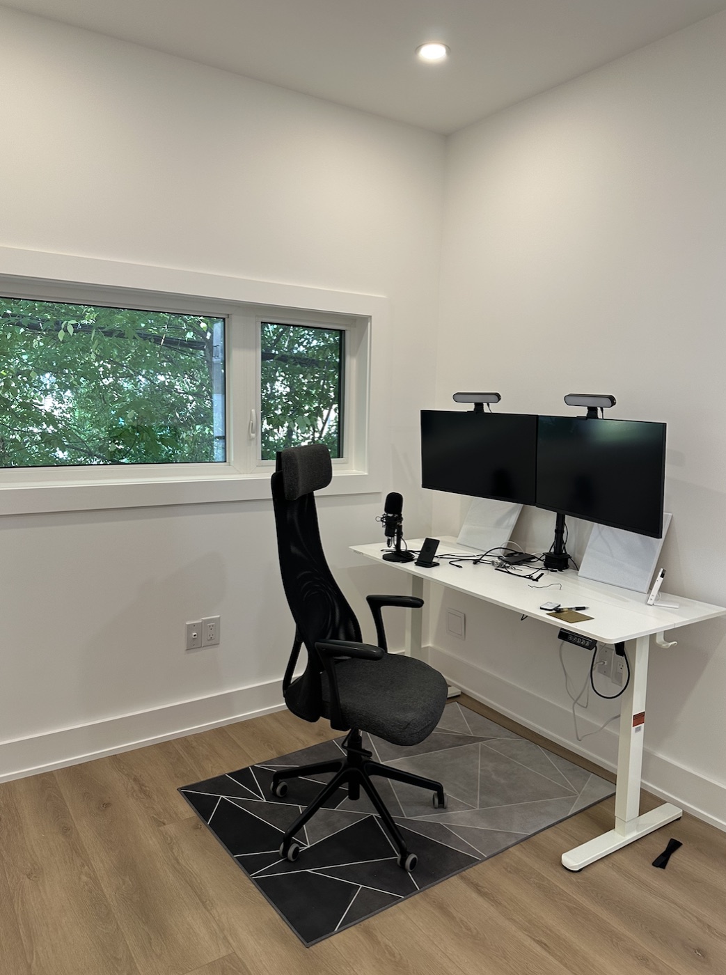 Danforth laneway suite — 1
